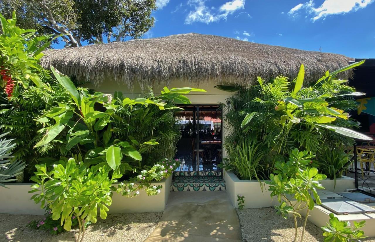 Blue Palm Bacalar Hotel Exterior photo